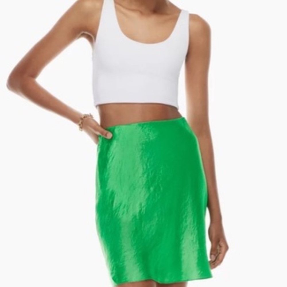 Aritzia Babaton Slip Mini